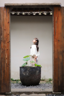第九个寡妇